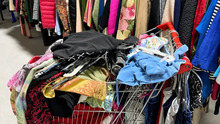 8 Thrift Shopping Tips for Fashion Lovers (Better Outfits for Less Cash)
